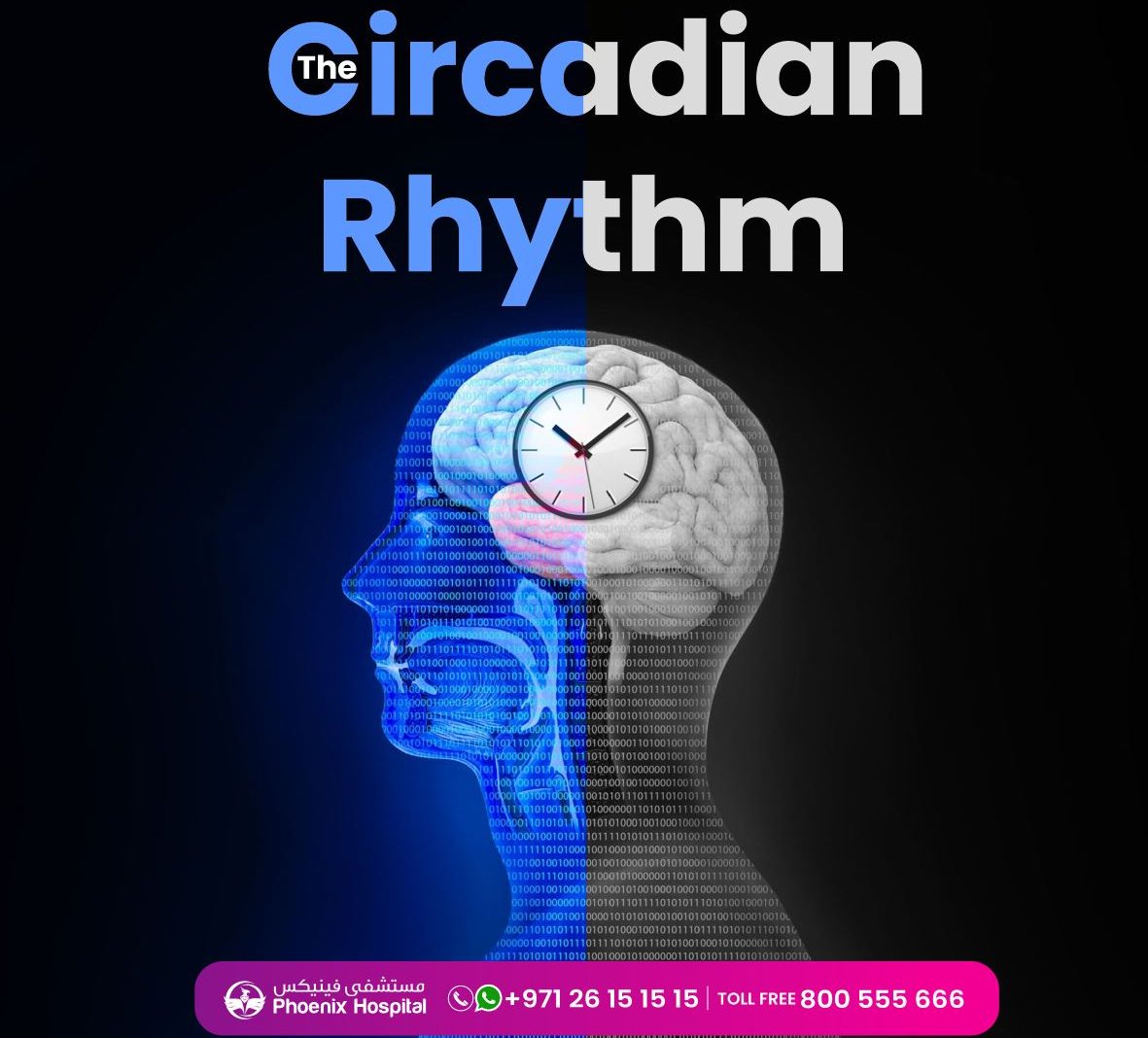 "circadian rhythm"